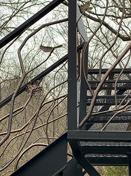 Decorative balusters with branch style metal railing design